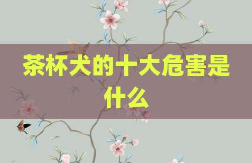 茶杯犬的十大危害是什么