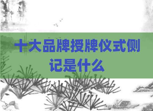 十大品牌授牌仪式侧记是什么