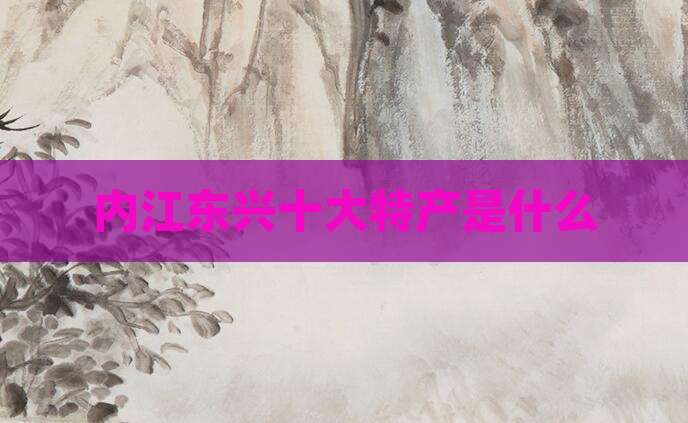 内江东兴十大特产是什么