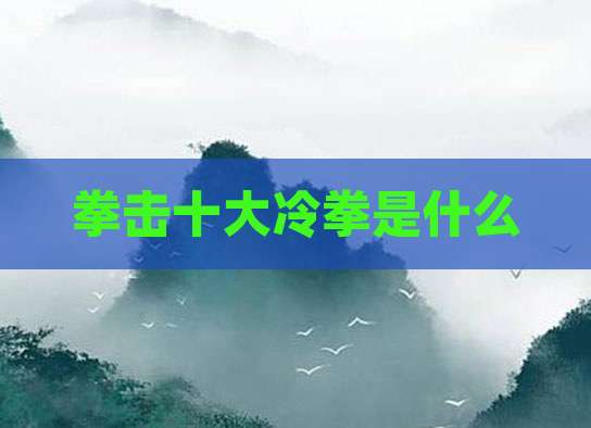 拳击十大冷拳是什么