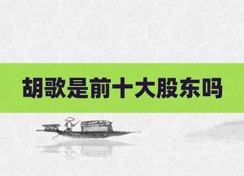 胡歌是前十大股东吗
