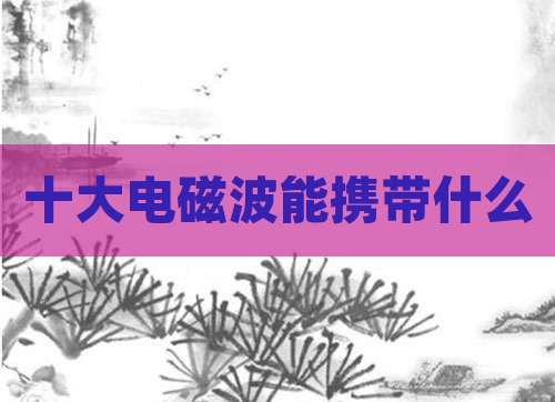 十大电磁波能携带什么