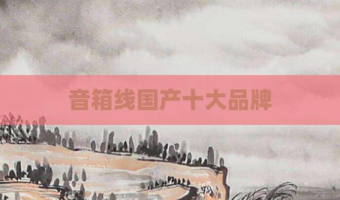 音箱线国产十大品牌