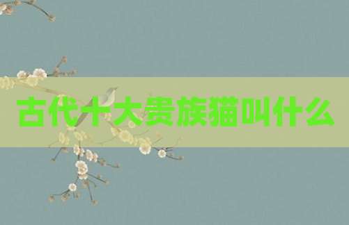古代十大贵族猫叫什么