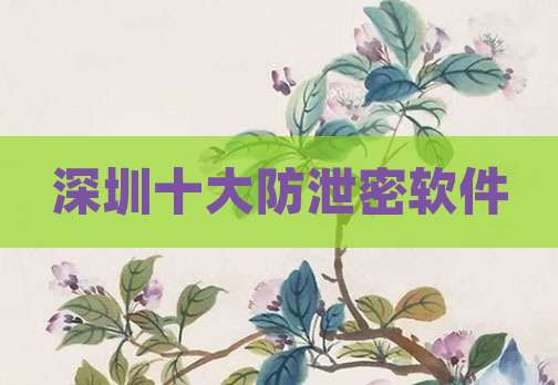 深圳十大防泄密软件