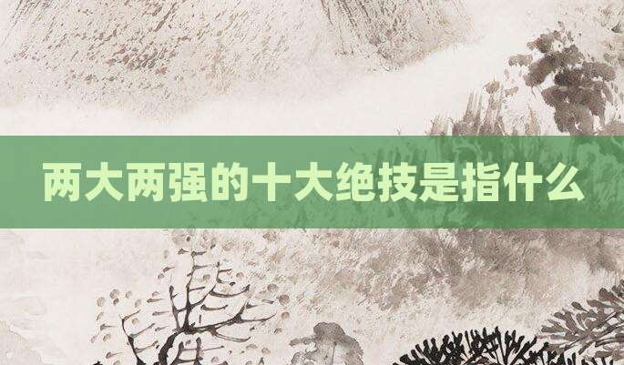 两大两强的十大绝技是指什么