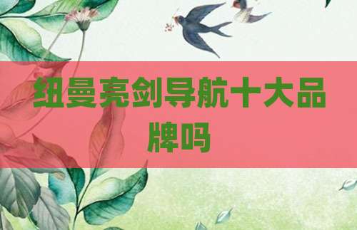 纽曼亮剑导航十大品牌吗