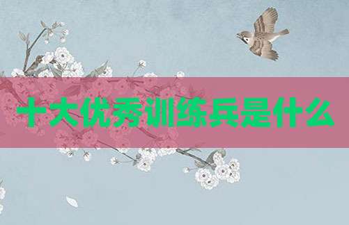 十大优秀训练兵是什么