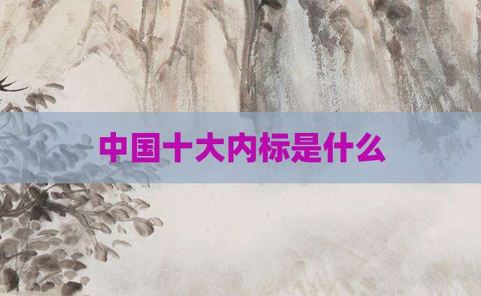 中国十大内标是什么