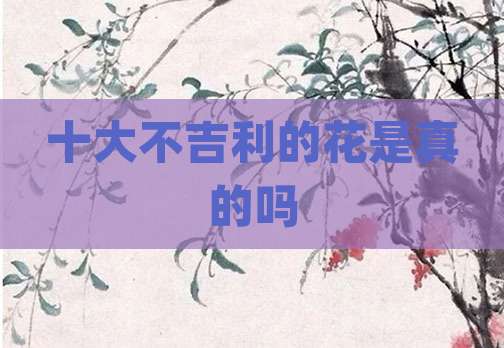 十大不吉利的花是真的吗