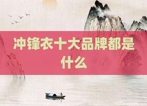 冲锋衣十大品牌都是什么
