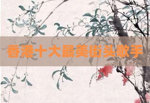 香港十大最美街头歌手