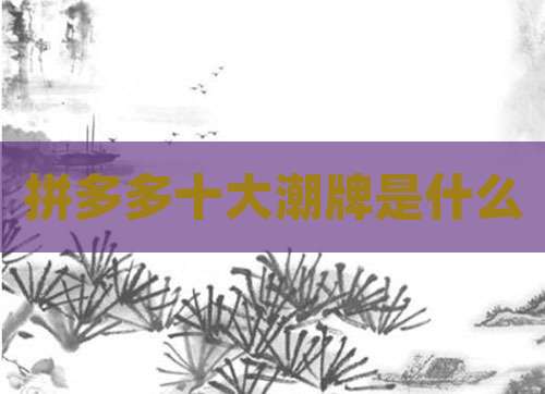 拼多多十大潮牌是什么