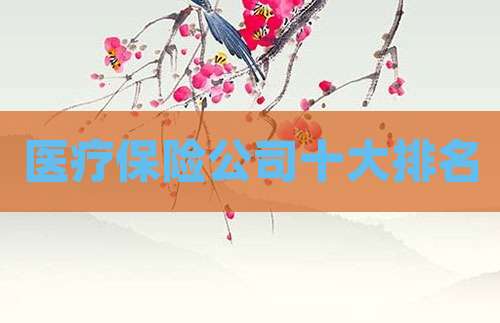 医疗保险公司十大排名