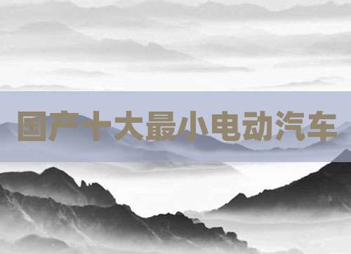 国产十大最小电动汽车
