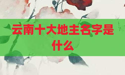 云南十大地主名字是什么