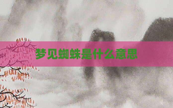 梦见蜘蛛是什么意思