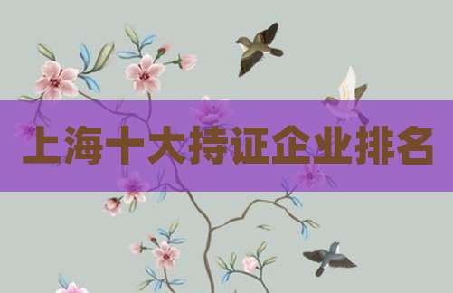上海十大持证企业排名