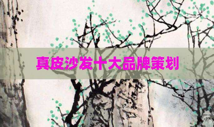 真皮沙发十大品牌策划