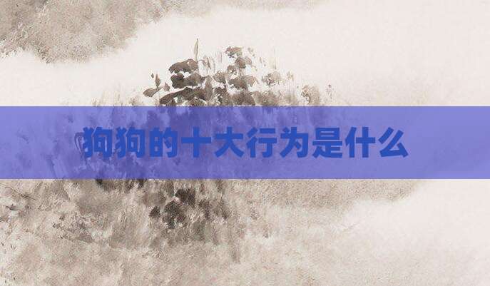 狗狗的十大行为是什么