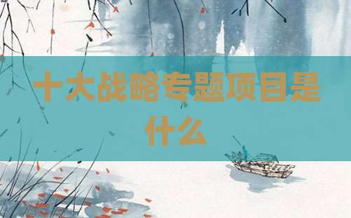 十大战略专题项目是什么
