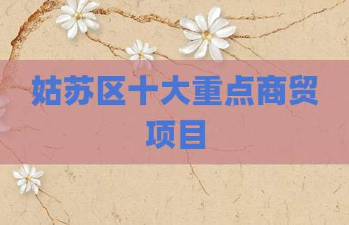 姑苏区十大重点商贸项目
