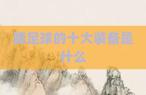 踢足球的十大装备是什么