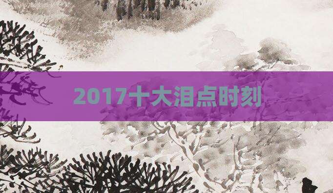 2017十大泪点时刻