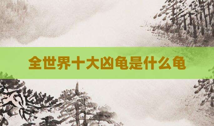 全世界十大凶龟是什么龟
