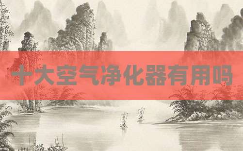 十大空气净化器有用吗