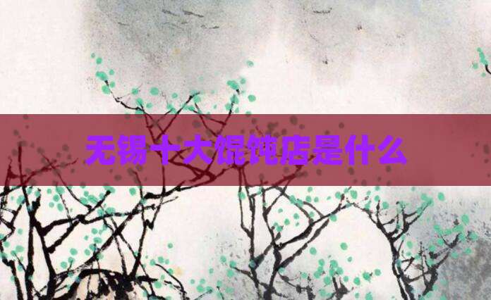 无锡十大馄饨店是什么