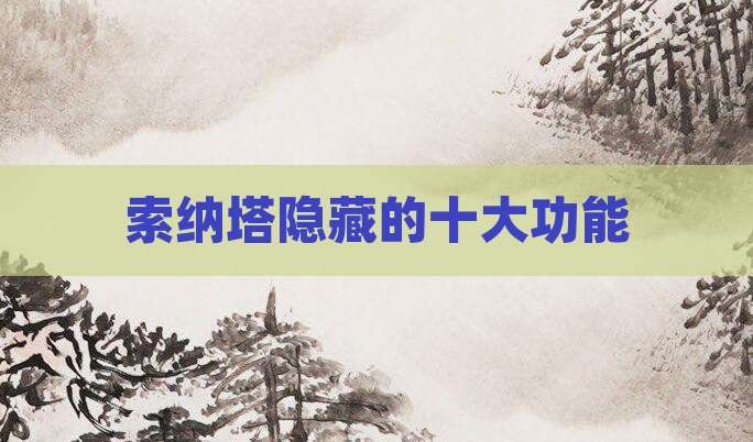 索纳塔隐藏的十大功能