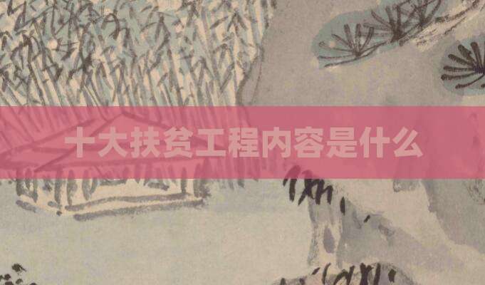 十大扶贫工程内容是什么