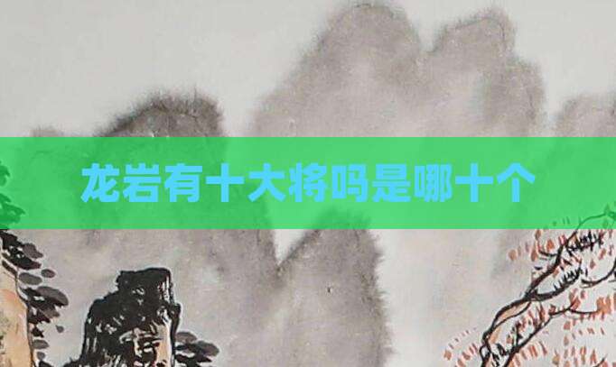 龙岩有十大将吗是哪十个