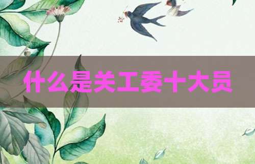 什么是关工委十大员
