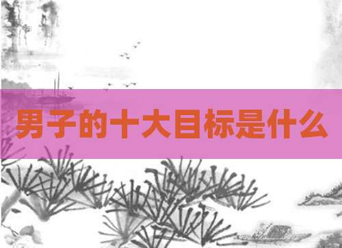男子的十大目标是什么