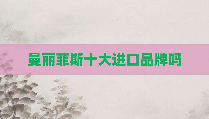曼丽菲斯十大进口品牌吗