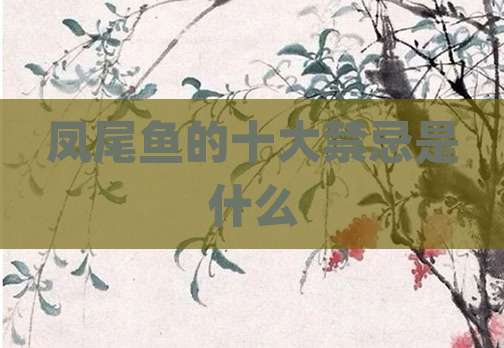 凤尾鱼的十大禁忌是什么