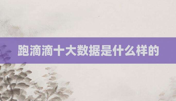 跑滴滴十大数据是什么样的