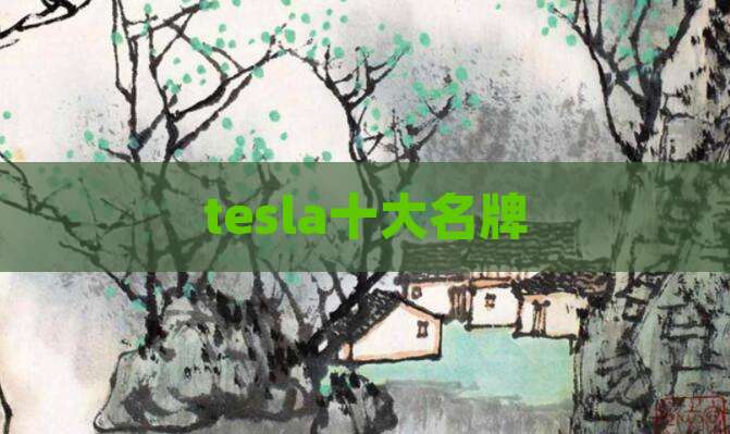 tesla十大名牌