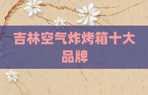 吉林空气炸烤箱十大品牌