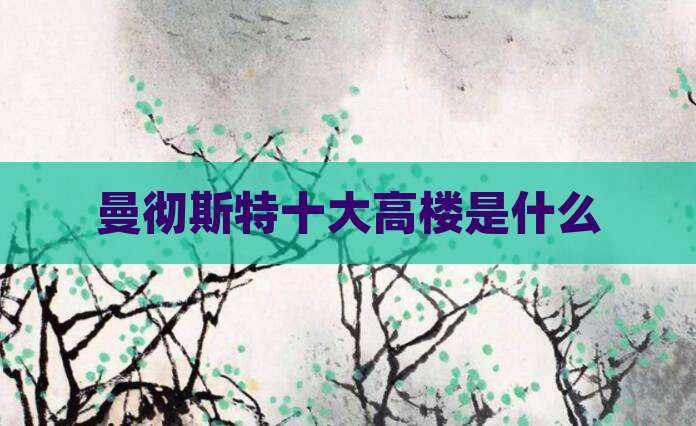 曼彻斯特十大高楼是什么
