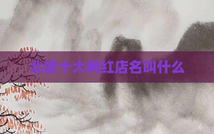 北欧十大网红店名叫什么