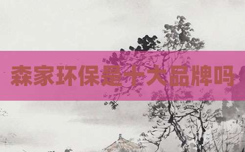 森家环保是十大品牌吗