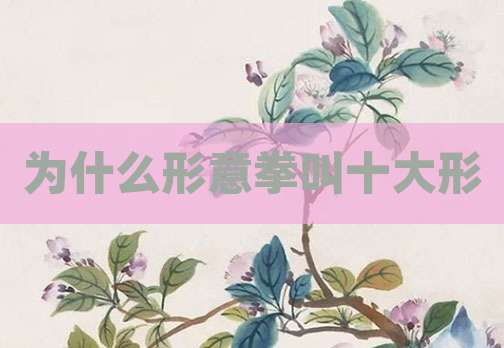 为什么形意拳叫十大形