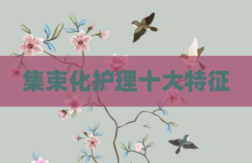 集束化护理十大特征