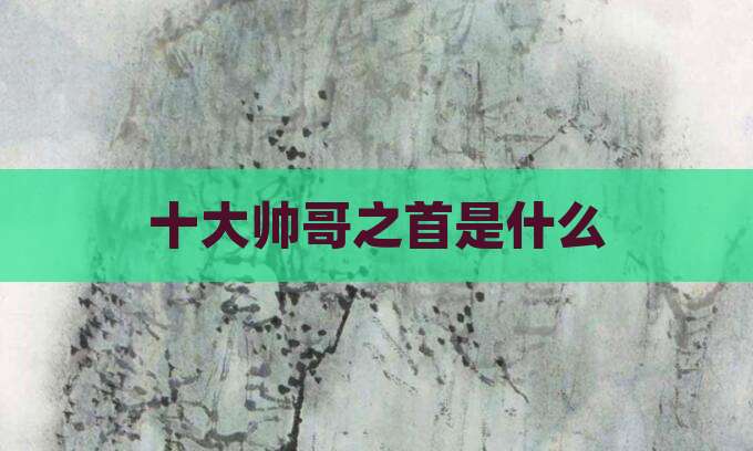 十大帅哥之首是什么