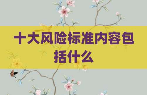 十大风险标准内容包括什么