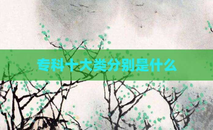专科十大类分别是什么