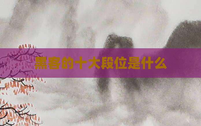 黑客的十大段位是什么